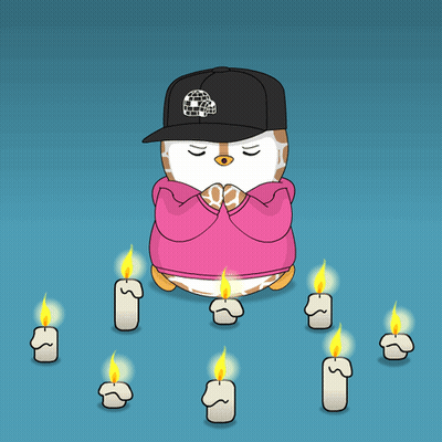 Penguin Wearing Pink Hoodie Black Hat 202 GIF