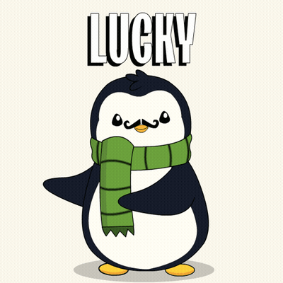 Penguin Wearing Scarf And Shamrocks Lucky GIF
