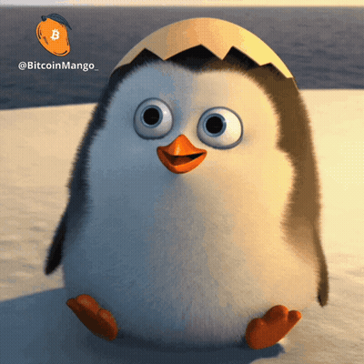 Penguin With Broken Egg On Head Sitting In Snow With Bitcoin Mango Logo GIF