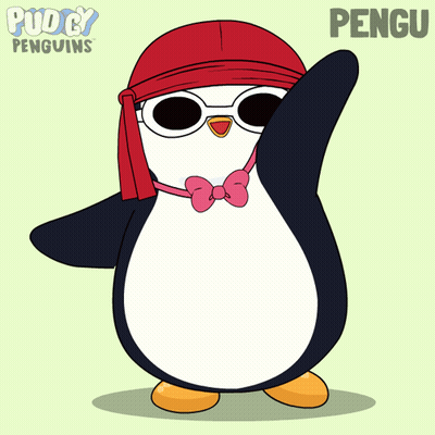 Penguin With Sunglasses And Bandana Named Pengu GIF
