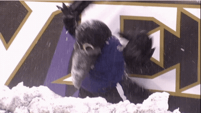 Penguin With YA Sign GIF