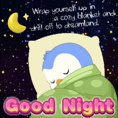 Penguin Wrapped In Blanket Sleeping GIF
