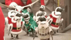 Penguins Elf Santa GIF