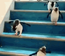 Penguins Going Down The Stairs GIF