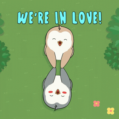 Penguins Laying On Grass Saying We're In Love GIF