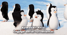 Penguins Of Madagascar Cute Talking Aerial Surveillance GIF