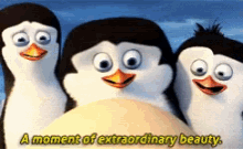 Penguins Of Madagascar Egg Extraordinary Beauty GIF