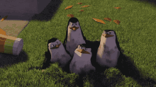 Penguins Of Madagascar Yes Mission Accomplished  GIF