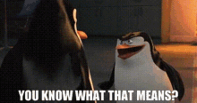 Penguins Of Madagascar You Know What That Means GIF