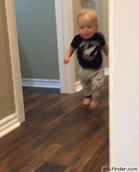 Penguins Running In Snow GIF