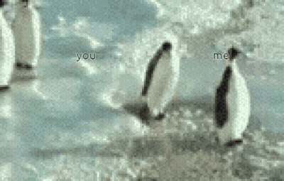 Penguins Standing In Snow Saying You And Me GIF