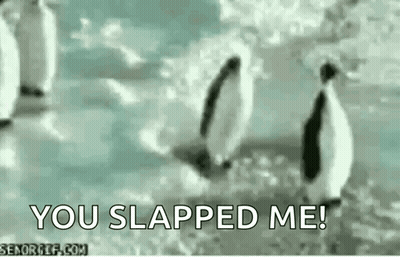 Penguins Standing On Snow Saying You Slapped Me GIF