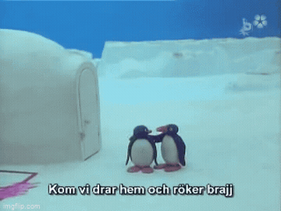 Penguins Standing Together Kom Vi Drar Hem Och Röker Brajj GIF