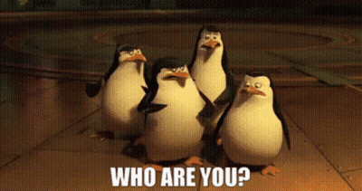 Penguins Standing With Who Are You Caption GIF