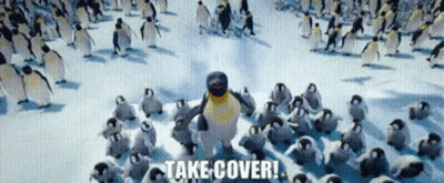 Penguins Walking In Snow Say Take Cover GIF
