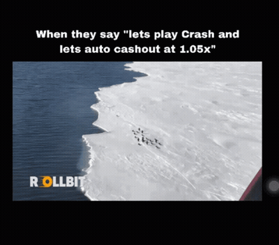 Penguins Walking On Snowy Beach Rollbit GIF