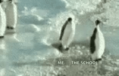 Penguins Walking Through Snow GIF