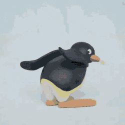 Penguvee GIF