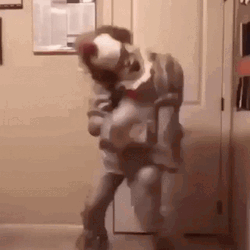 Pennywise Dancing Hilarious Parody GIF