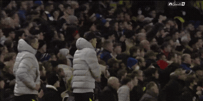 People Celebrating In Front Of Crowd GIF