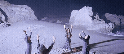 People Celebrating On Beach GIF