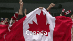 People Cheering With Canada Flag GIF