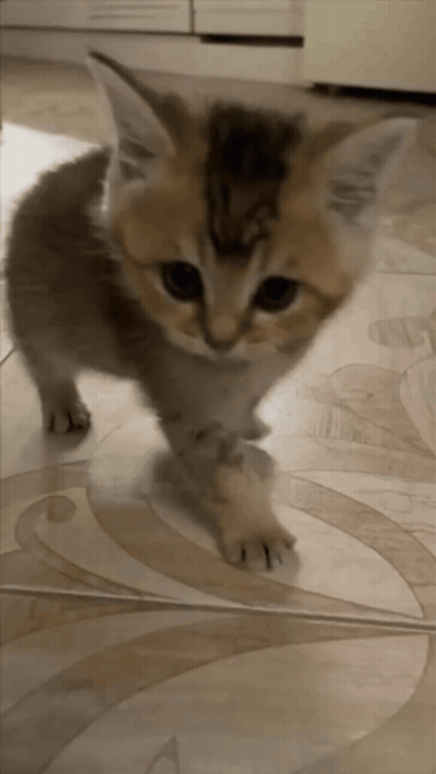 People Dancing On Stage In Front Of Clock GIF