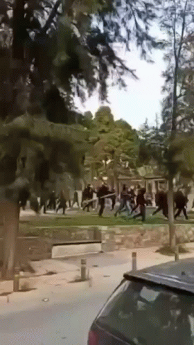 People Fighting In Park With Car In Foreground GIF