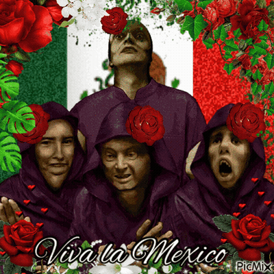 People In Front Of Mexican Flag Viva La Mexico GIF