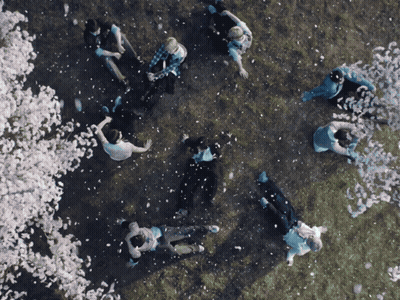 People Lying On Grass With Falling Flowers GIF