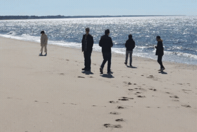 People On Sandy Beach Looking At Ocean GIF