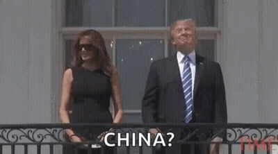 People Playing Ball In Park GIF