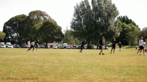 People Playing Frisbee In Field GIF