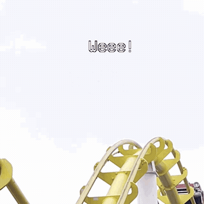 People Riding A Roller Coaster With The Words Weee Above Them GIF
