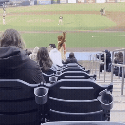 People Sitting In Stadium Watching Baseball Game With Mascot GIF