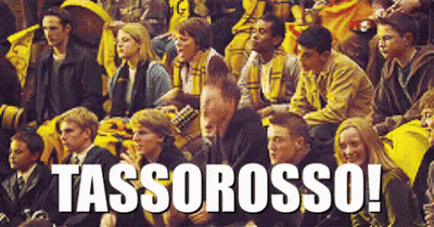 People Sitting In Stadium With Tassorosso GIF