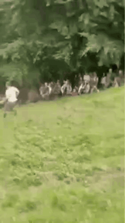 People Sitting On Grass In Park GIF