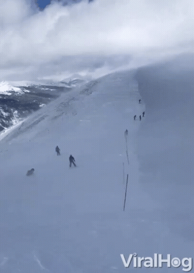 People Skiing Down Snow Slope GIF