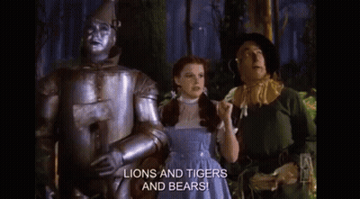 People Standing In Forest GIF