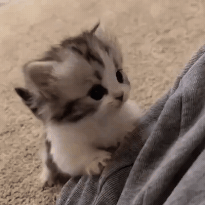 People Standing In Room With Hot Damn GIF