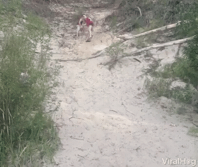 People Walking Down Dirt Path Viralhog GIF