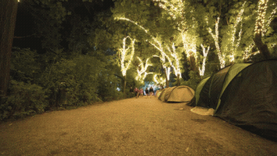 People Walking On Dirt Road With Lit Trees GIF