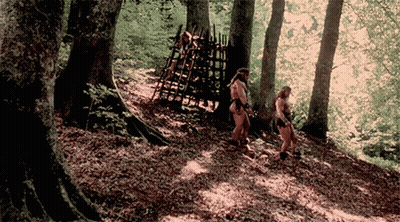 People Walking Through Forest With Fence GIF