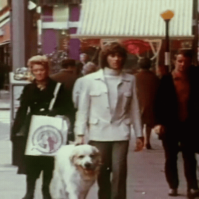 People Walking With Dog And Woman Carrying Shopping Bag GIF
