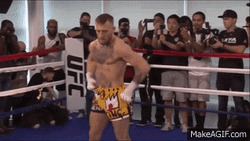 People Watching Conor Mcgregor Workout