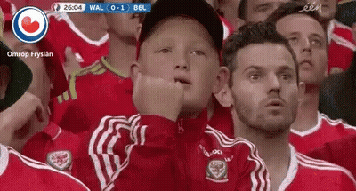 People Watching Game In Stadium GIF