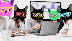 People With Cat Heads In Collaboration GIF