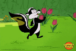 Pepe Le Pew Chill Walking GIF
