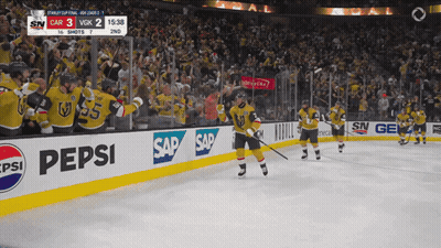 Pepsi Hockey Game In Stadium GIF