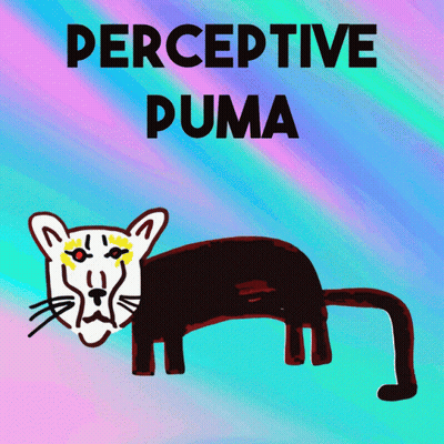 Perceptive Puma Cougar GIF